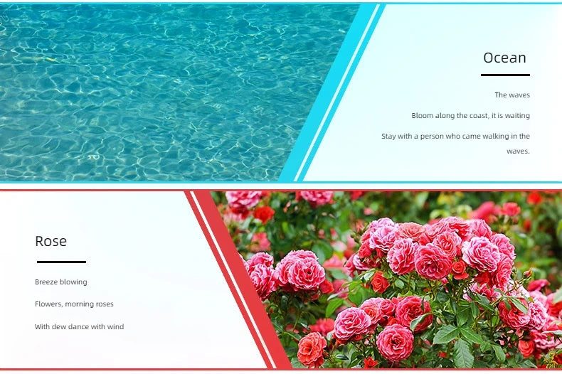 Snugsy™ Essential Oil Collection – Premium Aromatherapy Scents for Diffusers & Warmers (10 ml)