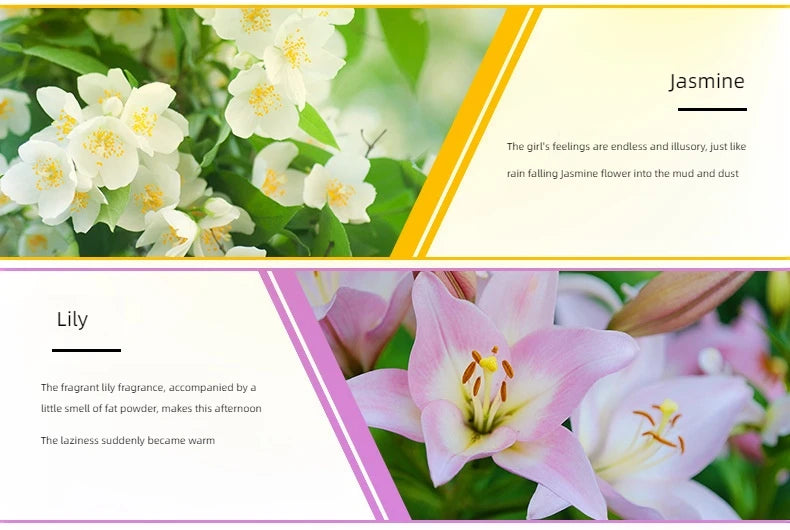 Snugsy™ Essential Oil Collection – Premium Aromatherapy Scents for Diffusers & Warmers (10 ml)